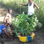 Verger au plateau de Bateke