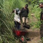 Verger au plateau de Bateke