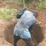 Verger au plateau de Bateke